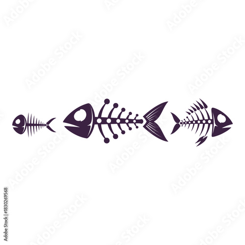 Three fish skeletons in various sizes aligned horizontally on a plain white background offering a morbid humorous composition