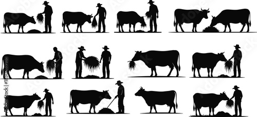 Cow, farmer, silhouette, feeding, livestock, agriculture, pasture, hay, grass, rural, vector, black, standing, interaction, nature, field, relationship, animal, care, flavector