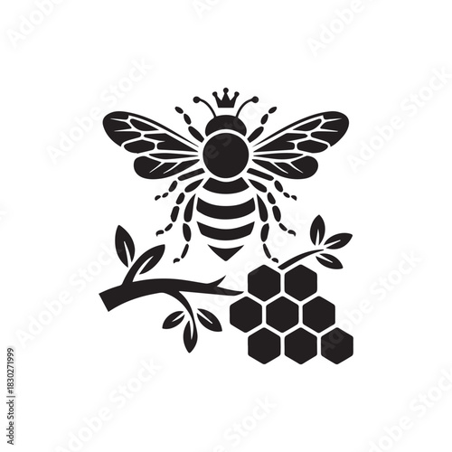 Black and white bee on a branch with honeycomb