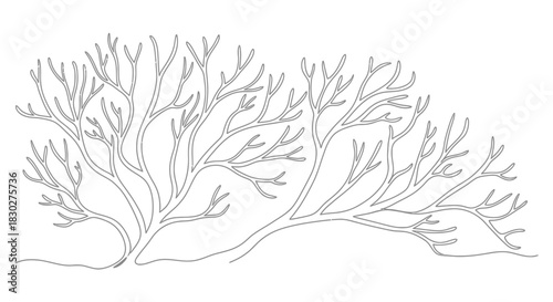 Minimalist monochrome vector illustration of an abstract coral reef structure, suitable for