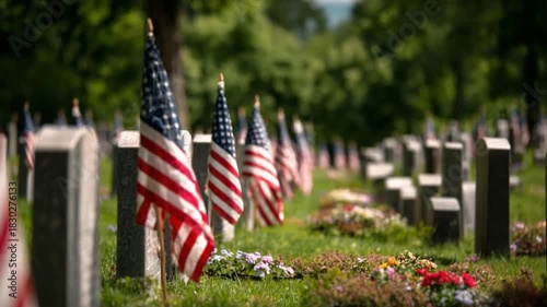 A Moment of Remembrance: American flags flutter gracefully in the gentle breeze, marking the final resting places of veterans, symbolizing honor and sacrifice. The scene evokes a sense of respect.