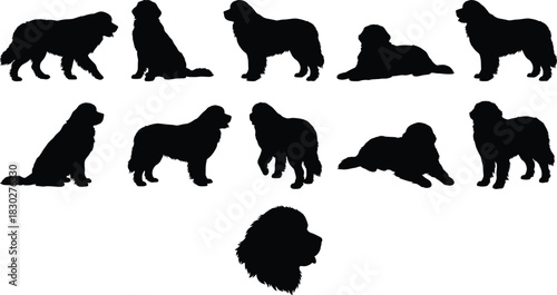 Silhouettes of large, fluffy Newfoundland dogs in various sitting, standing, and lying poses, illustrating the beloved dog breed, pet companionship, and animal fidelity.