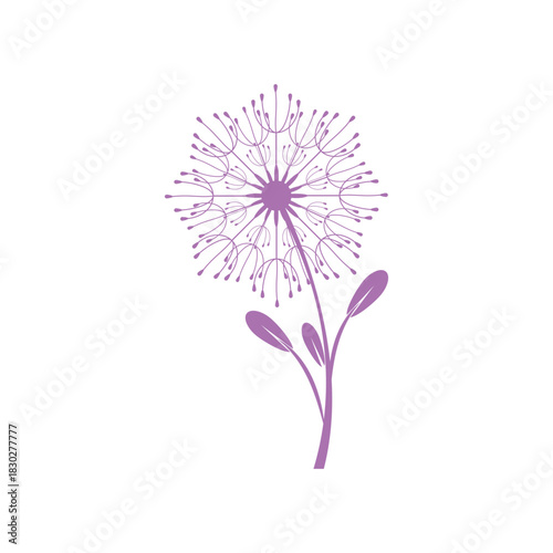 Dandelion logo simple vector and symbol