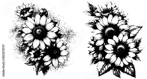 Vintage Xerography Sunflower Bouquet, Rustic Halftone Floral Illustration, Botanical Engraving Line Art Clipart