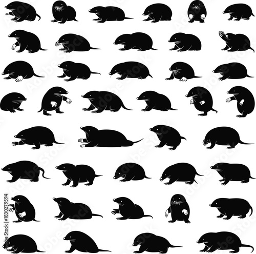 Extensive collection of mole silhouettes, featuring various poses, burrowing, standing, and sniffing, perfect for nature and wildlife graphics, vector.