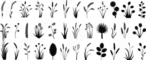 Extensive vector collection of diverse grass, wheat, cattail, and botanical plant silhouettes, ideal for nature and graphic design elements.