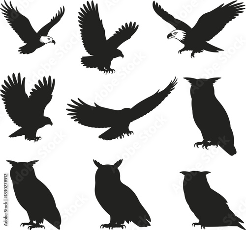 Set of bird of prey silhouettes including eagles and owls, flying, perching, and standing in dynamic poses, vector illustration.
