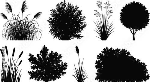 Set of diverse plant, bush, grass, and tree silhouettes, vector illustration for landscape design, nature, and gardening graphics.