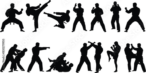 Silhouettes of male and female martial artists performing dynamic kicks, punches, and grappling, illustrating extreme combat sport, self-defense, and fitness training.