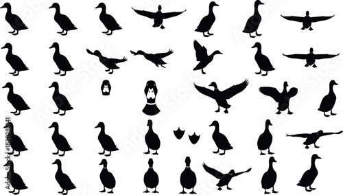 Black vector silhouettes set of cats, birds, and a woman doing gymnastics, ballet, and jumping actions illustration