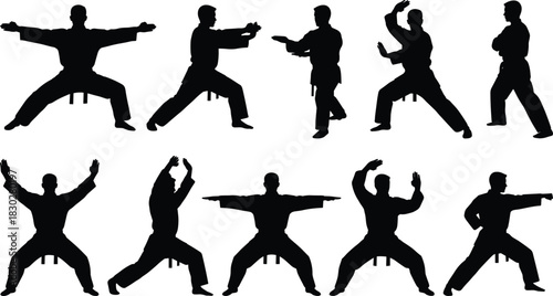 Silhouettes of male martial artists performing various dynamic stances and movements in traditional uniforms, illustrating karate, taekwondo, and combat sport.