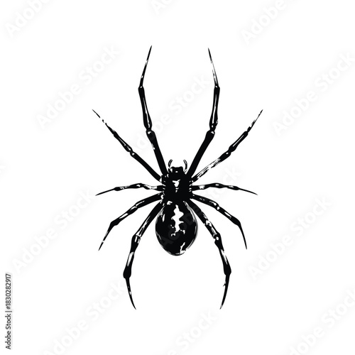 Black illustration of spider Ink stroke hand drawn vintage vector style