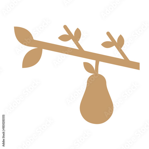 Pear Tree Branch
