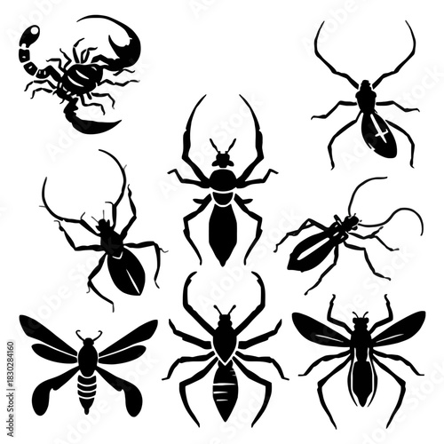Array of outlined insects and arachnids displayed in black silhouettes