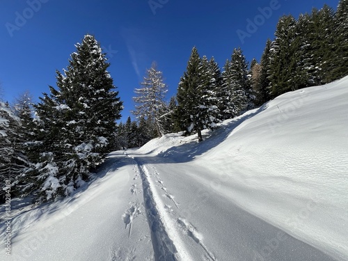 Wonderful winter hiking trails and traces in the fresh alpine snow cover of the Swiss Alps and over the village of St. Antönien - Canton of Grisons, Switzerland (Kanton Graubünden, Schweiz)