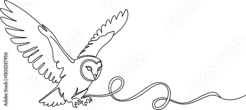 Owl bird flying line art drawing minimalist vector illustration animal wing