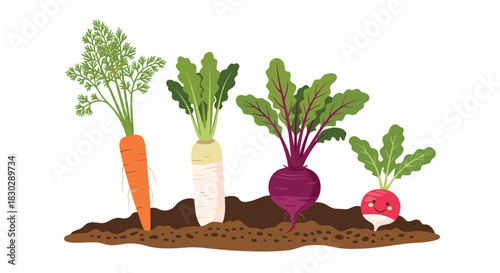 Colorful root vegetables like carrots, daikon radish, beetroot, and a cute red radish, growing healthily in fertile garden soil.