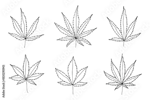 Set of hand drawn cannabis leaf Medicine marijuana Hemp leaves clipart in doodle style Single element for print, web, design, decor