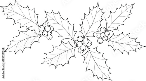 Holly berries leaves christmas winter holiday december festive outline art