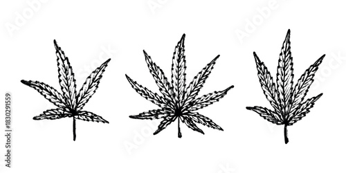 Set of hand drawn cannabis leaf Medicine marijuana Hemp leaves clipart in doodle style Single element for print, web, design, decor
