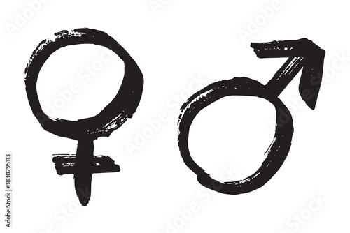 Hand drawn female and male gender identity sign Symbol used to represent sex and gender Single element for print, web, design, decor