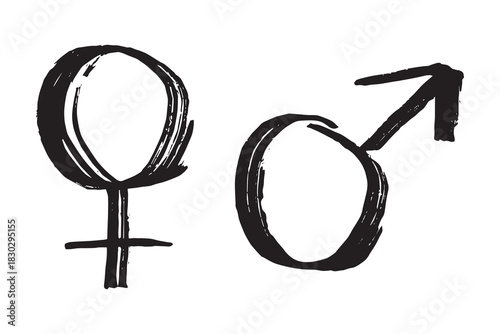 Hand drawn female and male gender identity sign Symbol used to represent sex and gender Single element for print, web, design, decor