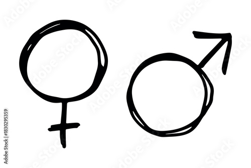 Hand drawn female and male gender identity sign Symbol used to represent sex and gender Single element for print, web, design, decor