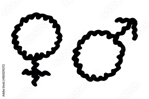 Hand drawn female and male gender identity sign Symbol used to represent sex and gender Single element for print, web, design, decor