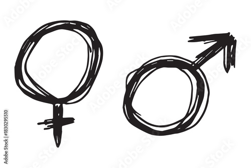 Hand drawn female and male gender identity sign Symbol used to represent sex and gender Single element for print, web, design, decor