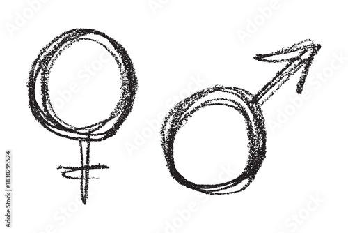 Hand drawn female and male gender identity sign Symbol used to represent sex and gender Single element for print, web, design, decor