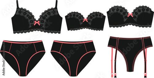 Lingerie set, black and pink, bra styles, panty design, garter belt, lace detail, fashion item, underwear illustration, white background