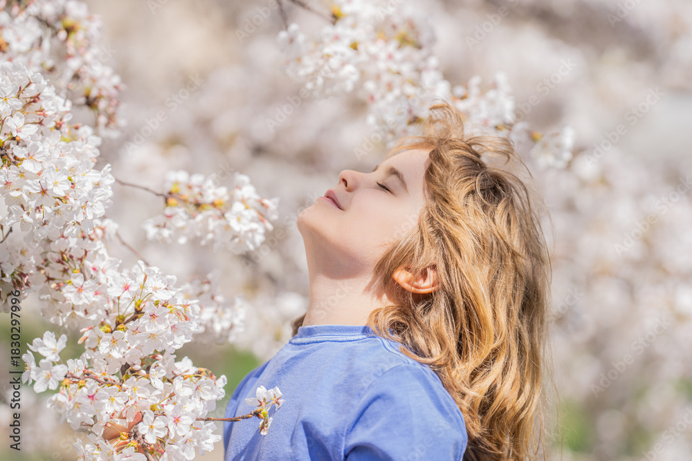 Obraz premium Kids face with flower on the Spring. Child in blooming cherry garden on beautiful spring day. Happy child during spring blossom. Kid in flowered garden. Outdoor Portrait of child near blossoming tree.