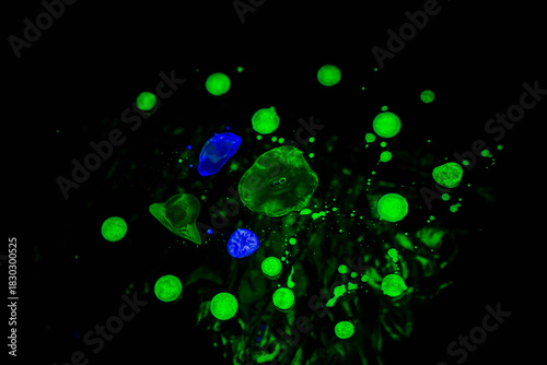 Bright neon green and blue liquid drops floating in a dark abstract background, resembling microscopic cells, particles, or bioluminescent elements. Vibrant experimental macro photography with glowing