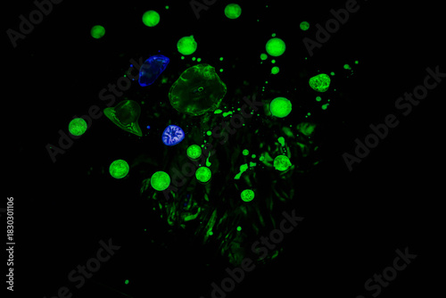 Bright neon green and blue liquid drops floating in a dark abstract background, resembling microscopic cells, particles, or bioluminescent elements. Vibrant experimental macro photography with glowing