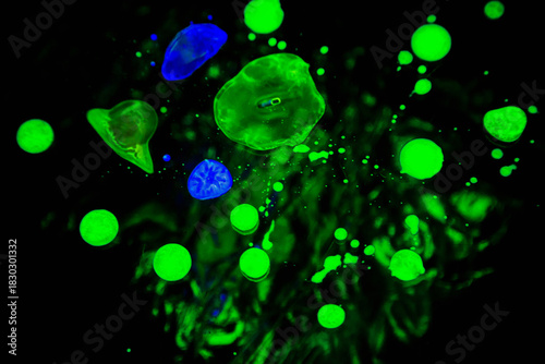 Bright neon green and blue liquid drops floating in a dark abstract background, resembling microscopic cells, particles, or bioluminescent elements. Vibrant experimental macro photography with glowing