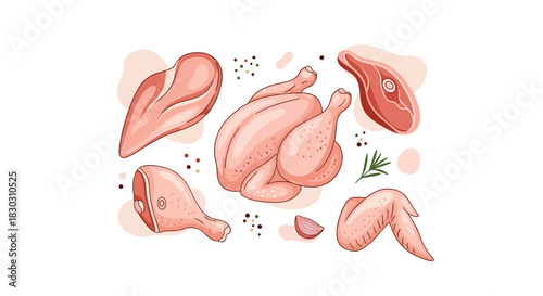 A collection of fresh raw chicken cuts, including whole poultry, breast, drumstick, and wing, presented with red meat, herbs, and spices.