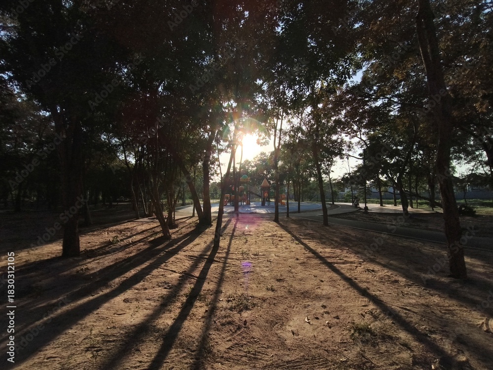 Fototapeta premium Sunset in a Tree-Filled Park with Playground and Long Shadows