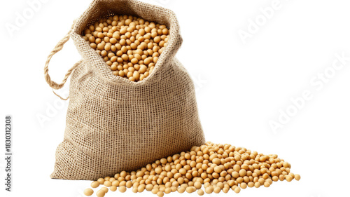 Soybean in sack bag with natural dried beans rustic burlap container farm harvest legume detail agricultural food item isolated on white background
