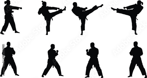 Martial arts silhouette poses, karate taekwondo training stances, gi uniform belt fighters, combat technique illustration, sports action flat vector