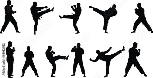 Martial arts silhouettes, kicking and stance poses, fighter action vector set, combat technique illustration, flat vector, black outline