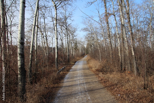 path in the forest, William Hawrelak Park, Edmonton, Alberta