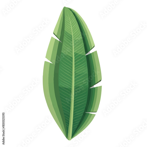 Illustration of a green leaf with damaged edges against a white background.