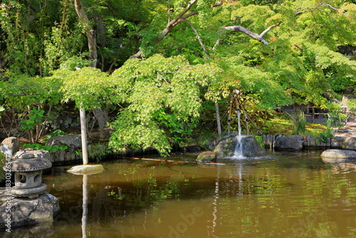 Hasedera, a Buddhist temple and gardens with a huge wooden statue of the god Kannon in Kamakura, Kanagawa, Japan