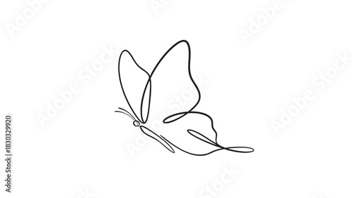 Seamless White Background for Product Photography and Digital Design Projects