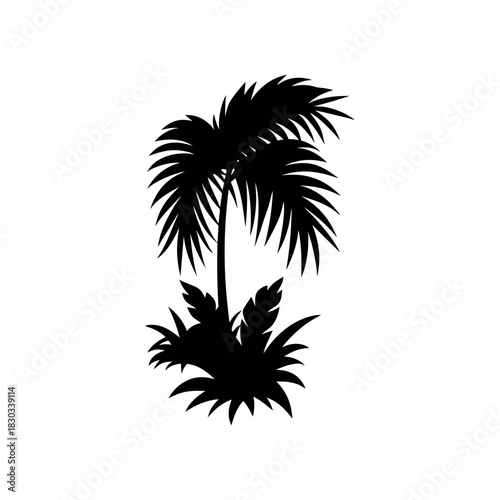 palm tree silhouette