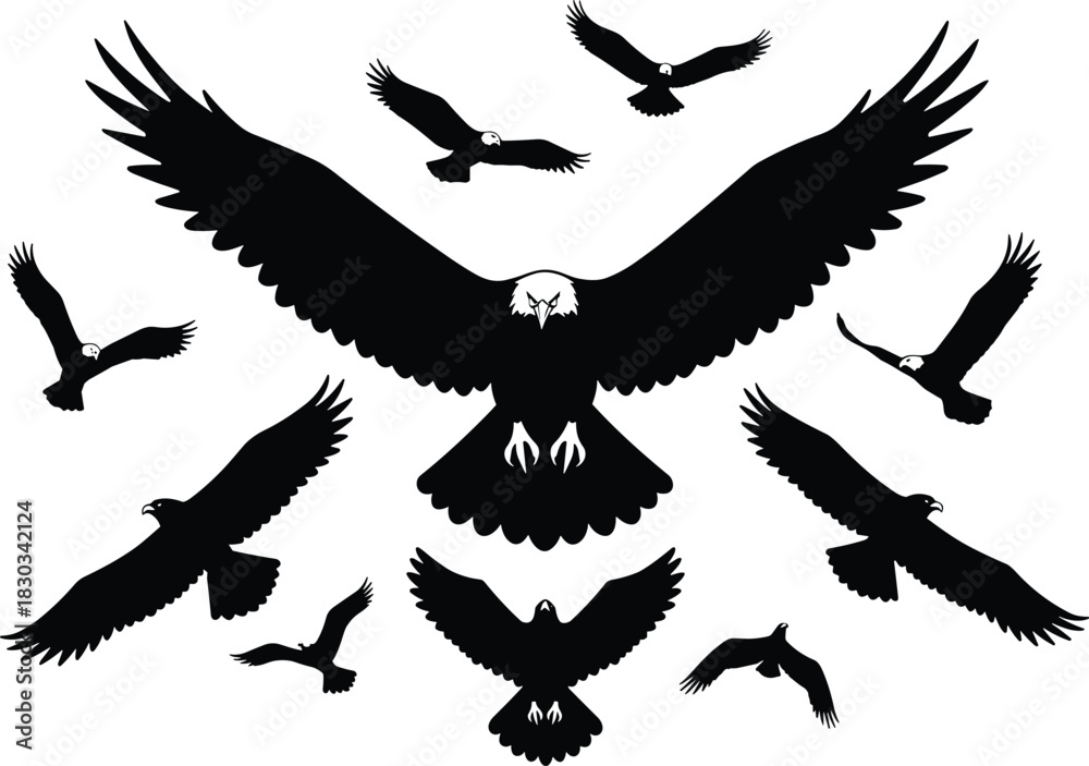 Obraz premium Silhouette of flying eagles in various poses, majestic bald eagle with wide wings spread, symbol of freedom, power, strength, and nature