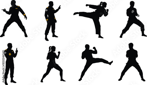 Silhouettes of martial artists practicing diverse combat stances, dynamic kicks, self-defense techniques, disciplined training movements, and action poses in bold black illustration style