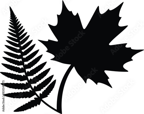 A striking black silhouette of a fern frond and a maple leaf, symbolizing natures beauty and the changing seasons, ideal for autumn themes, botanical designs, and environmental graphics