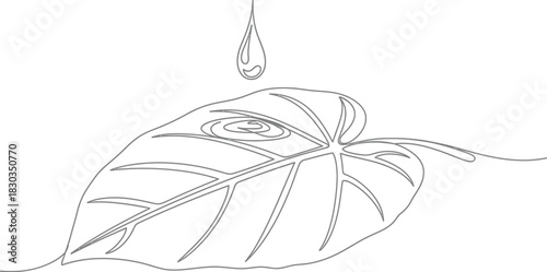 Single line drawing of a water droplet falling onto a leaf, symbolizing nature and purity