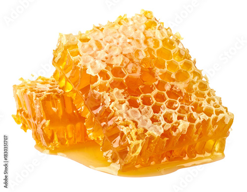 Two Honeycomb Pieces Isolated on White Background
